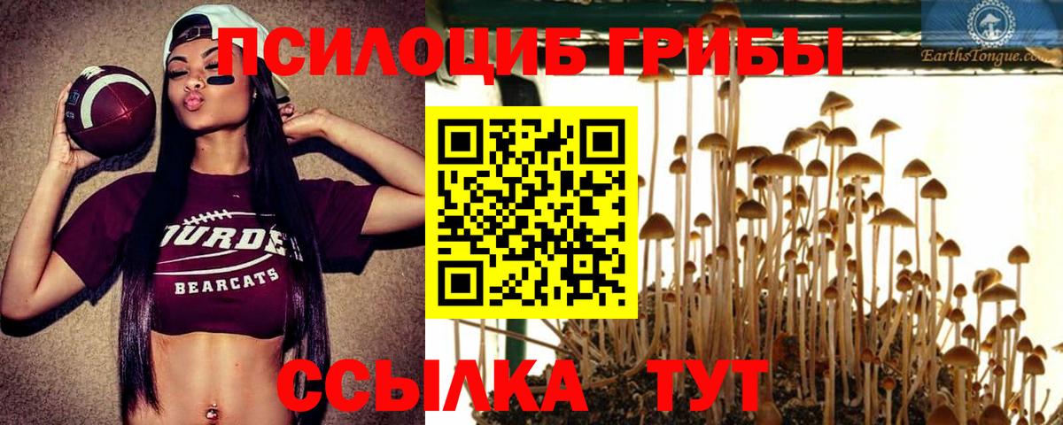 Куйбышев  Галлюциногенные грибы прущие грибы  цена   Вход с VPN 